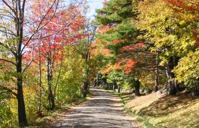 Autumn SW MO road